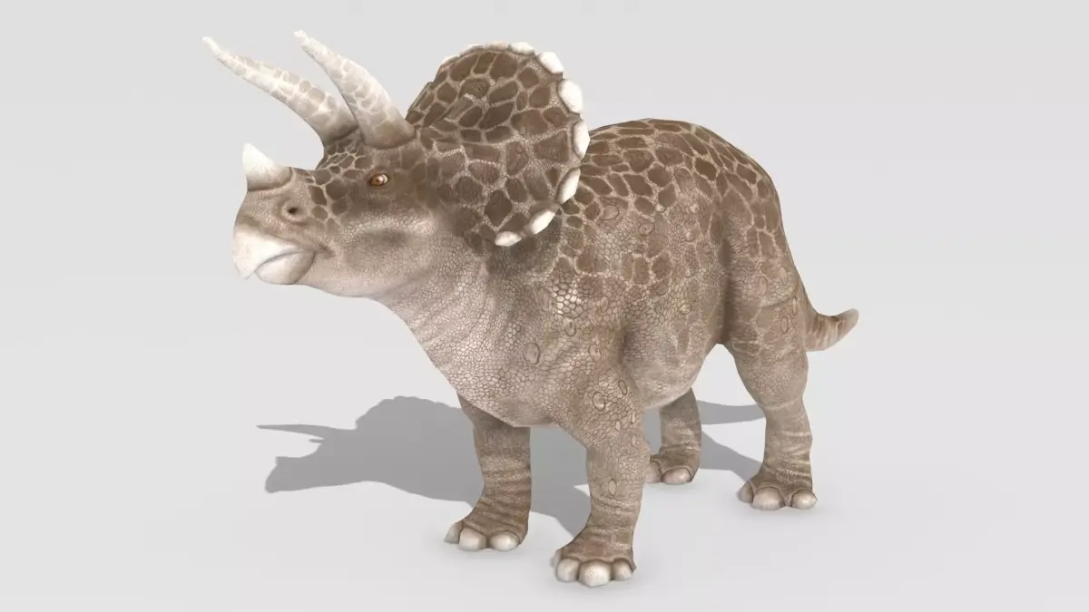Triceratops Animated Low-poly 3D model