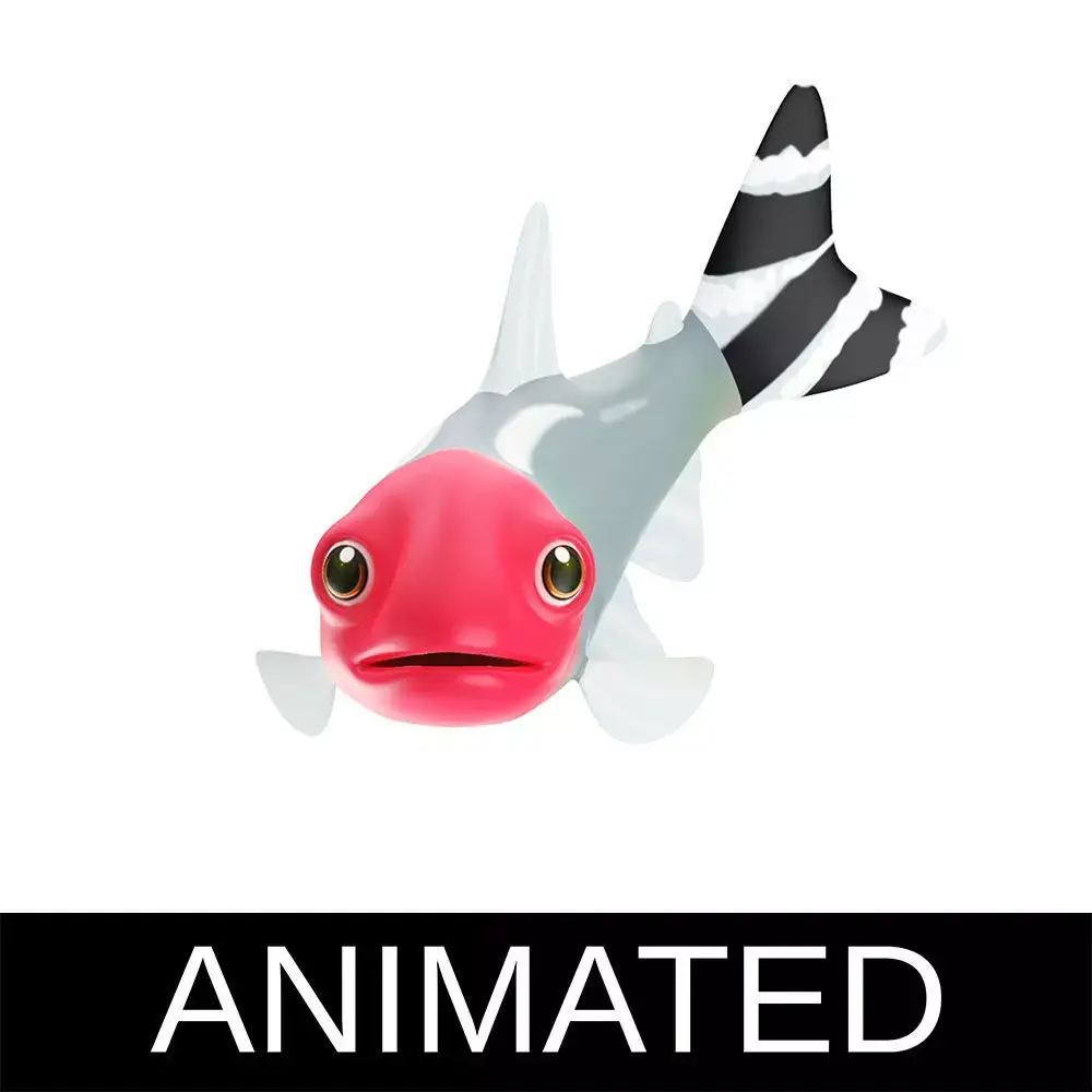 Srummynose Tetra fish animated Low-poly 3D model