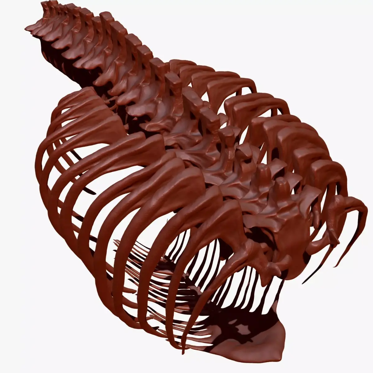 Dinosaur TRex Spine Rib Set Skeletons 3D model