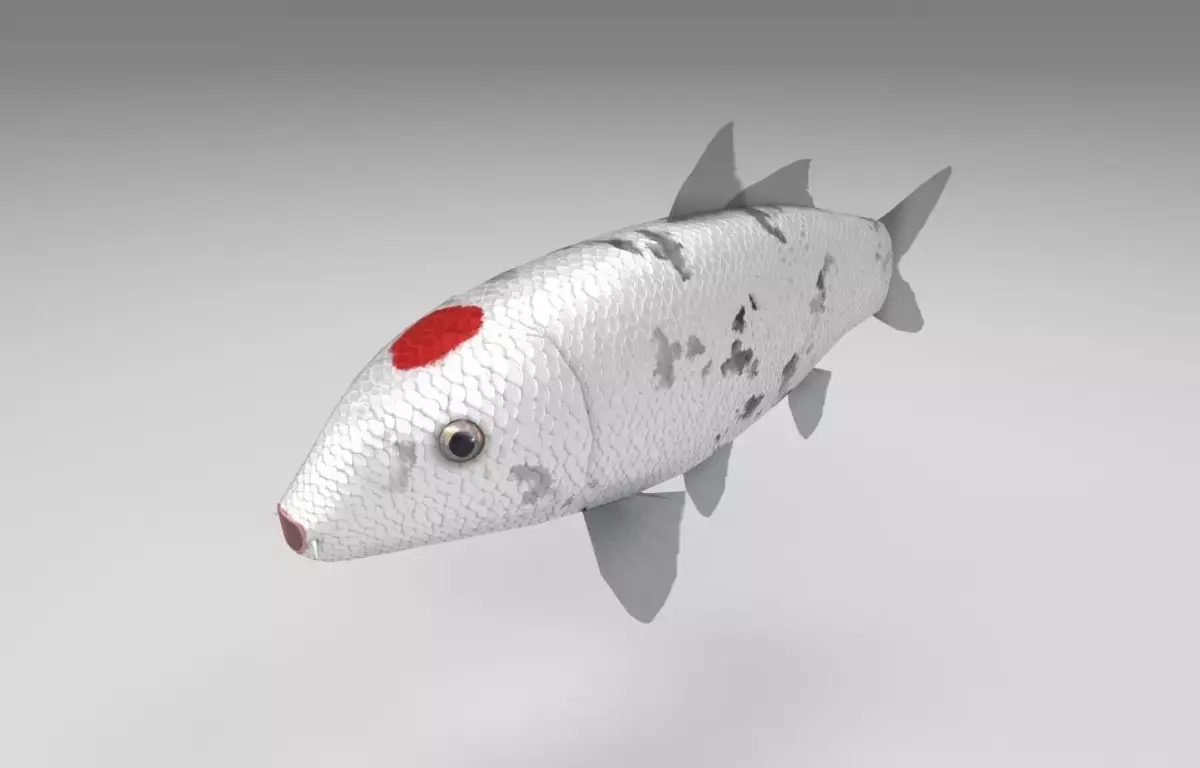 Carp koi fish Low-poly 3D model purchase