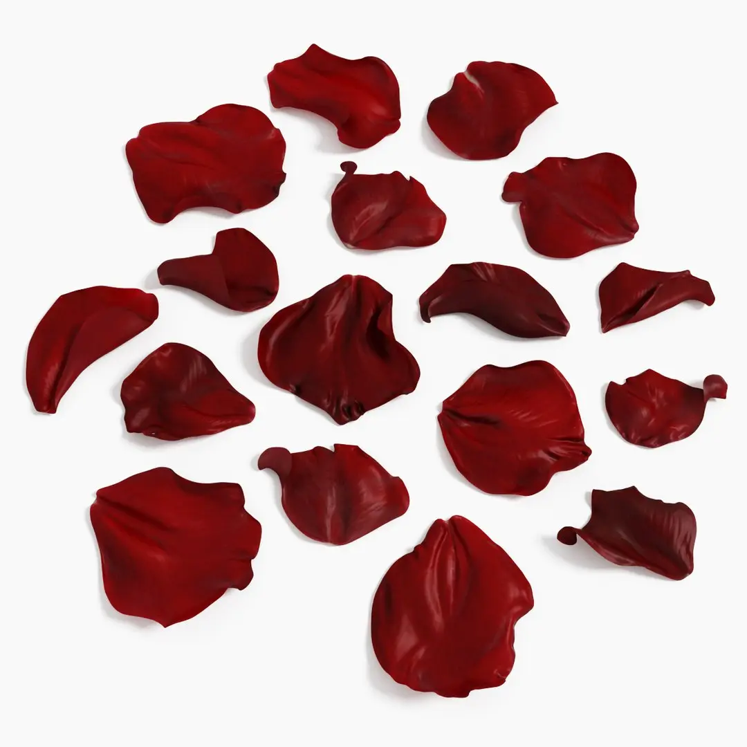 Rose Petals Extended Rebuild 3D model