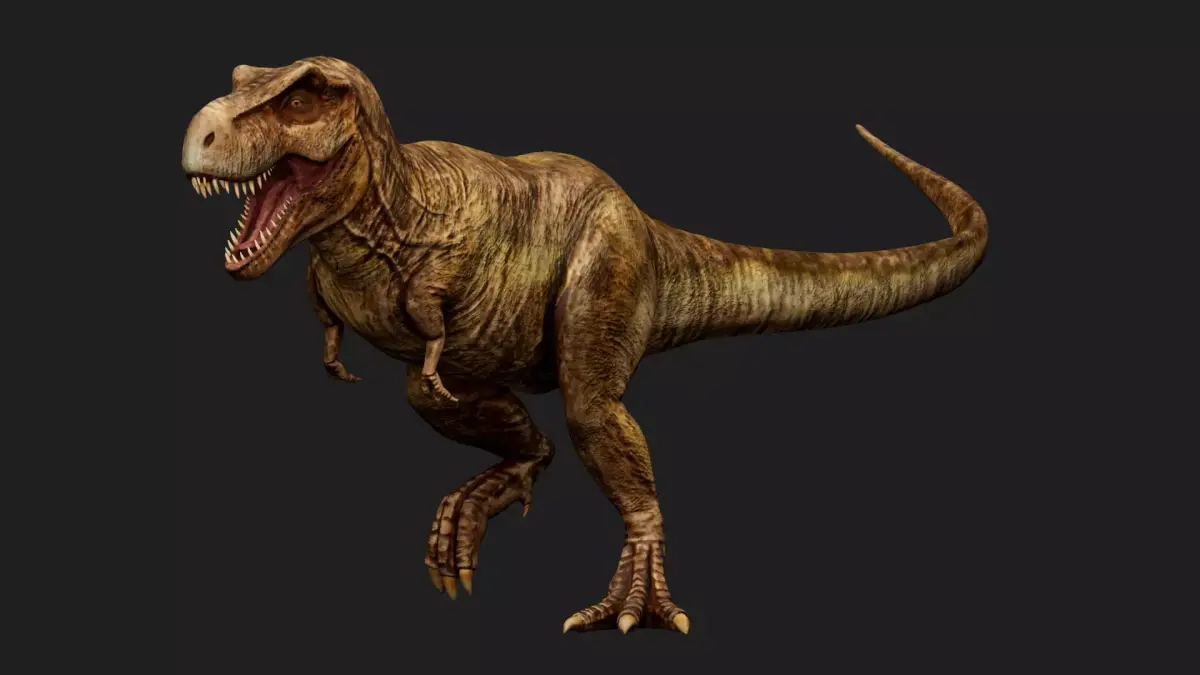 dinosaur Low-poly 3D model 16