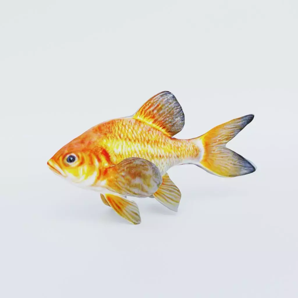 Goldfish Free 3D model