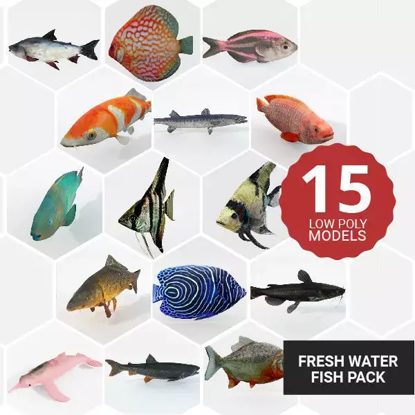 15 Freshwater  Fish Pack Low-poly 3D model