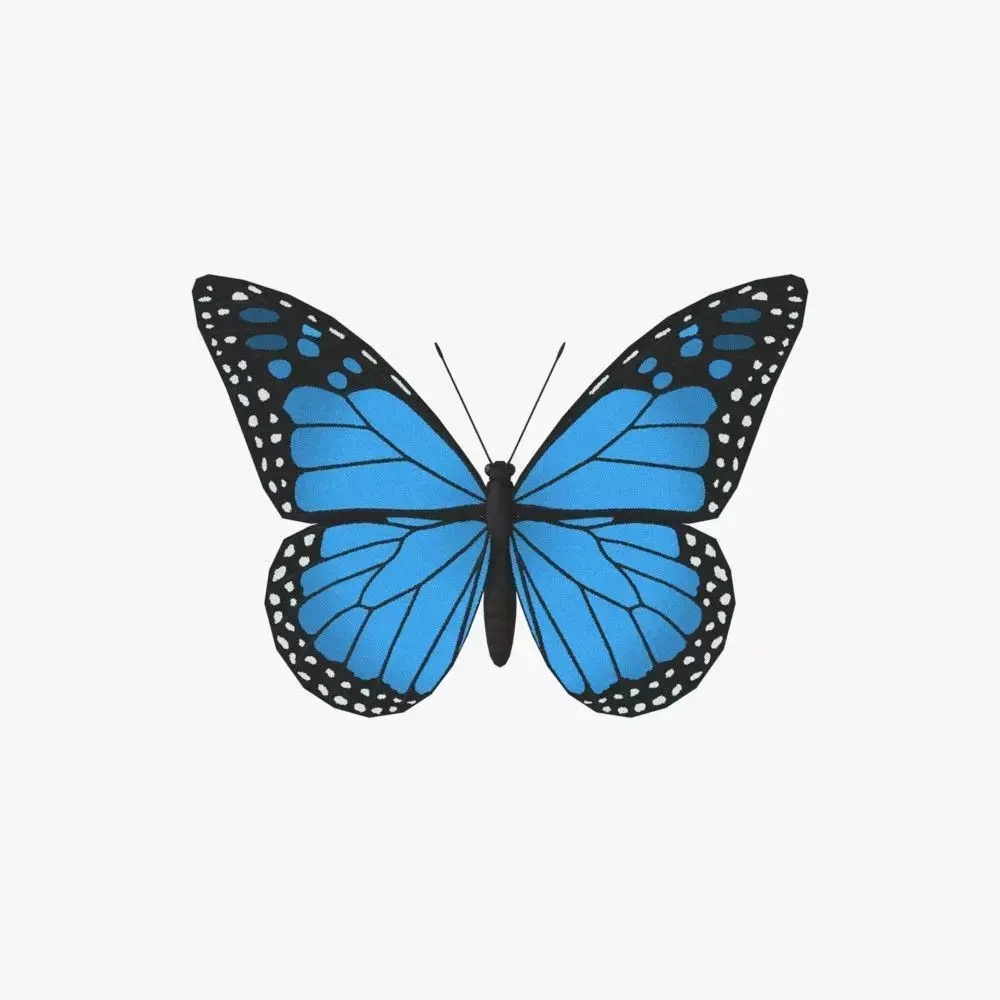Butterfly Low-poly 3D model purchase