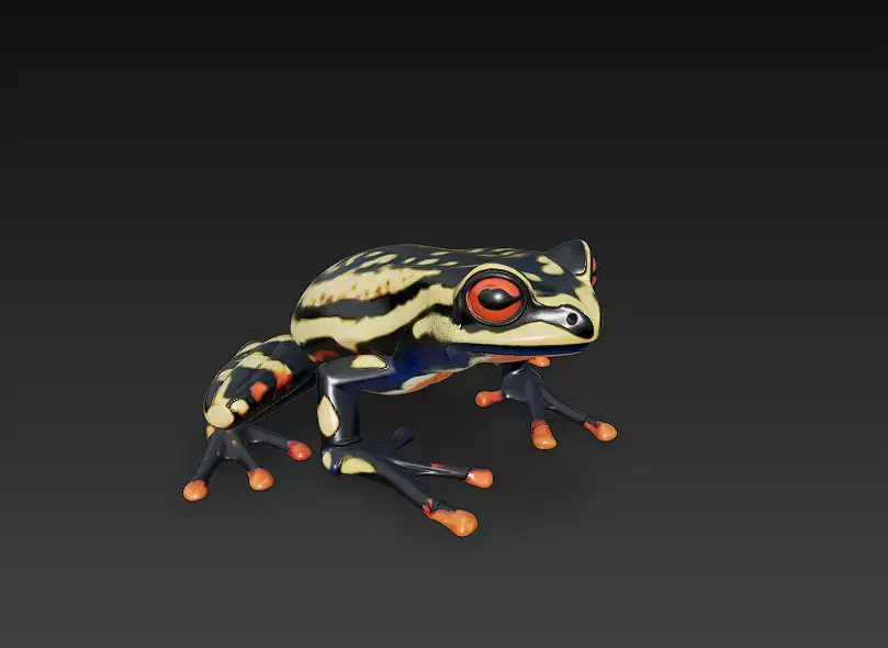 Frog Poisonous Realistic 3D Model Basic - Low Poly Realistic Low-poly 3D model purchase