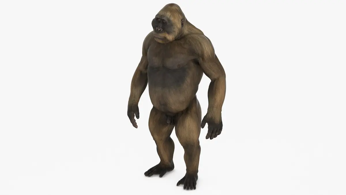 Big Ape Gigantopithecus in Standing Pose 3D model