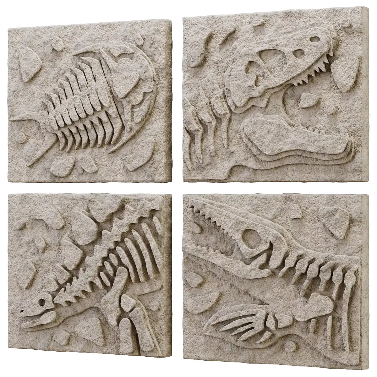 DIY Fossil Art Collection 3D model