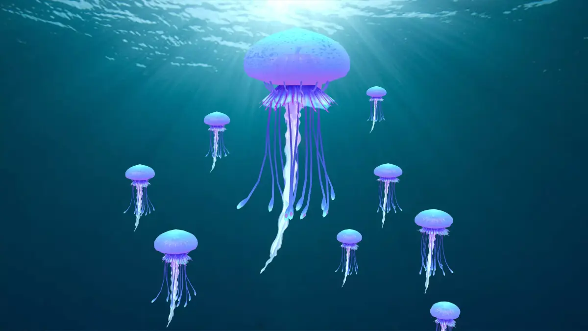Point Cache animated jellyfish  3D model