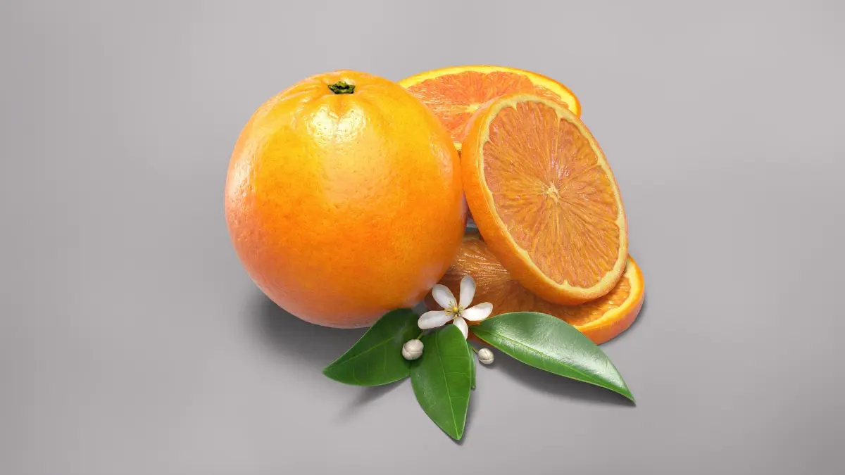Oranges 3D model