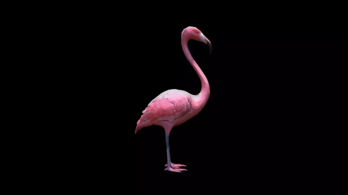 Flamingos On The Sea Beach 3d Render 3D model