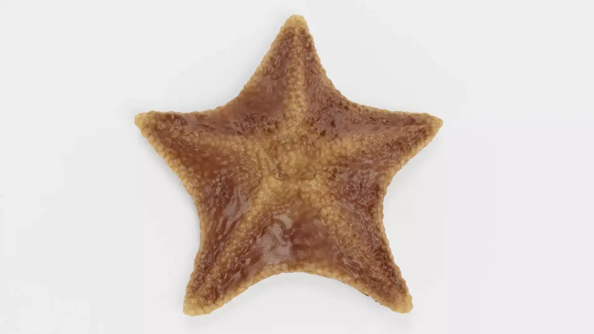 -Bat Starfish- Low-poly 3D model