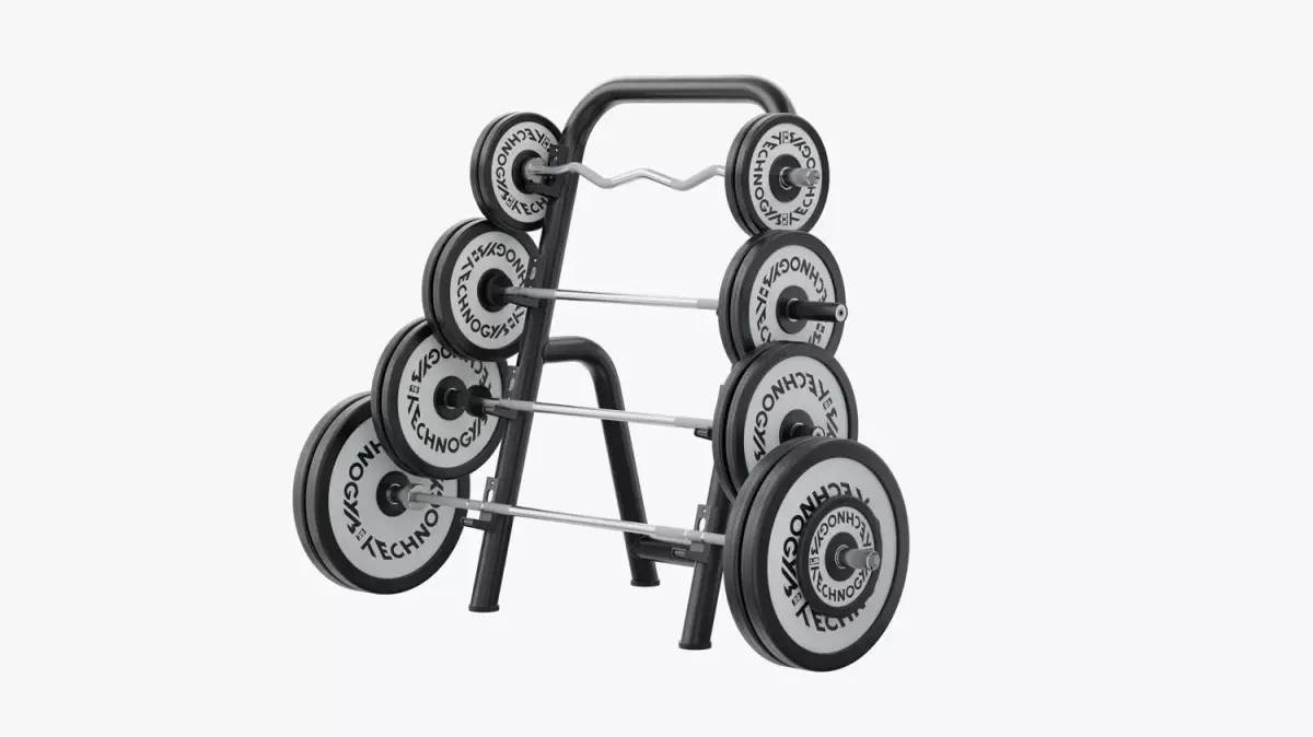 Technogym Barbell Rack Fitness 3D model