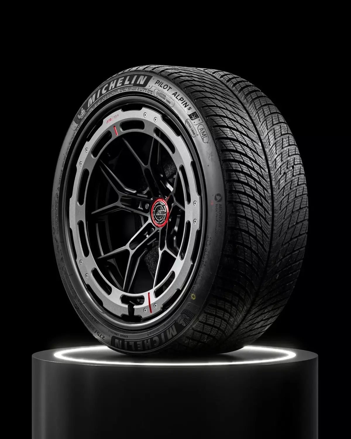 MICHELIN Pilot Alpin 5 275 35 R21 103V 3D model