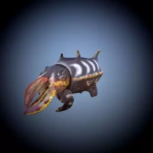 Cuttlefish octopus 3D model