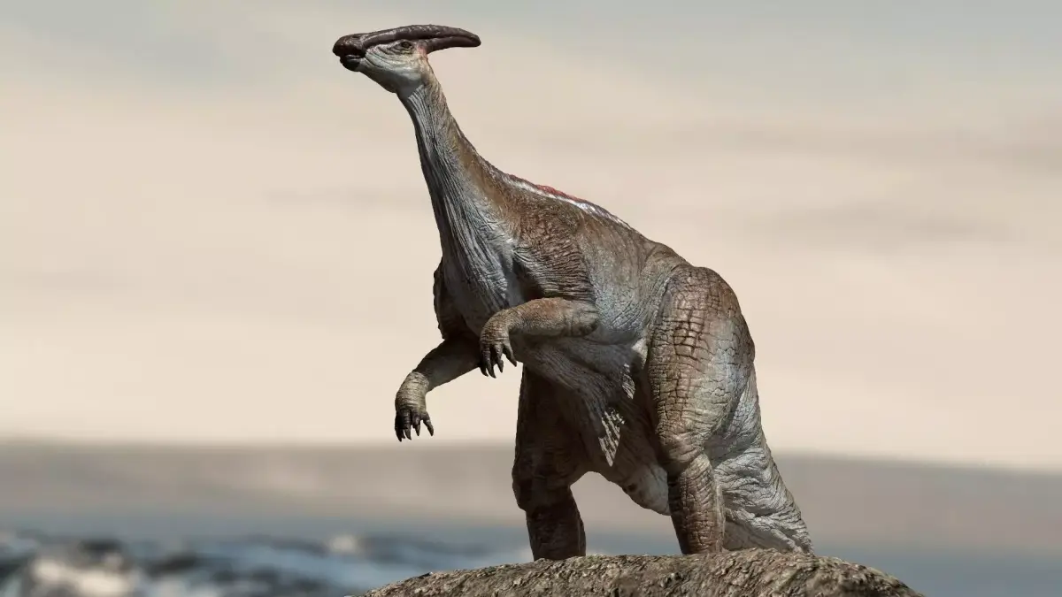 Parasaurolophus 3D Rigged model Low-poly 3D model