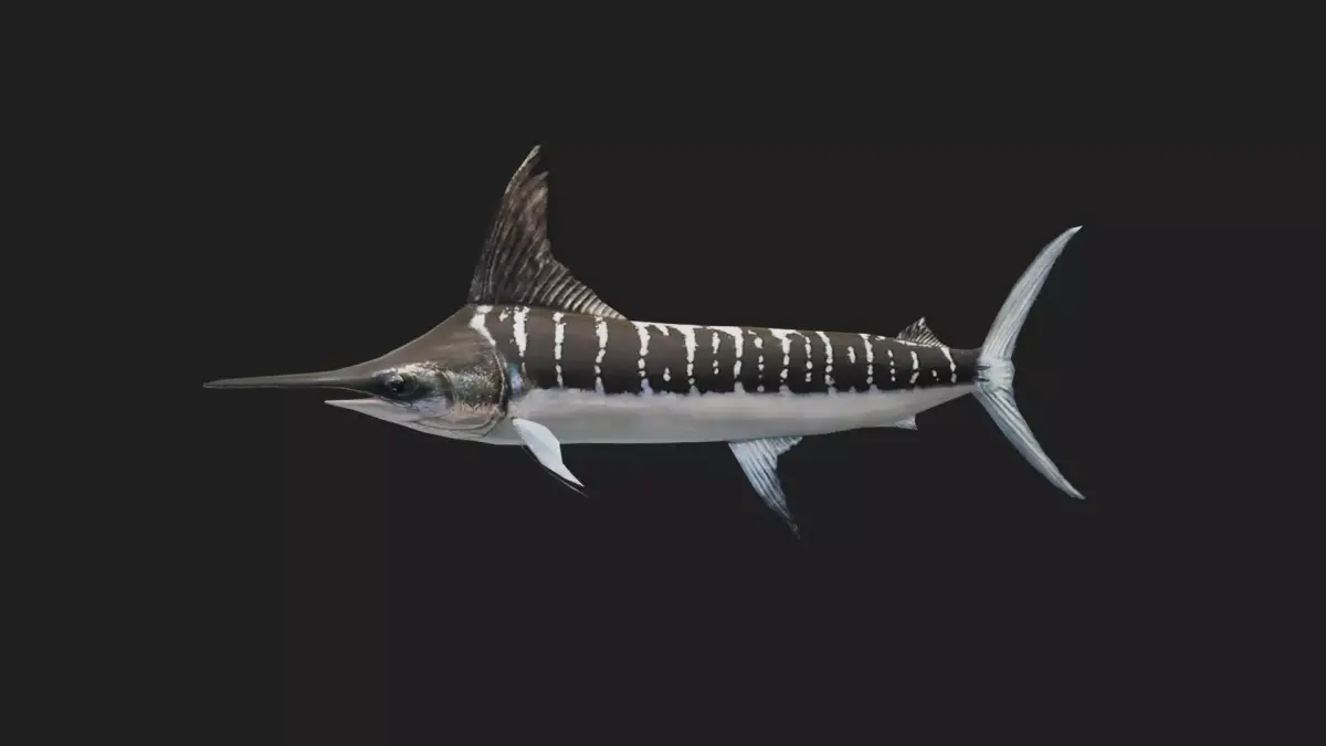 Marlin Low-poly 3D model