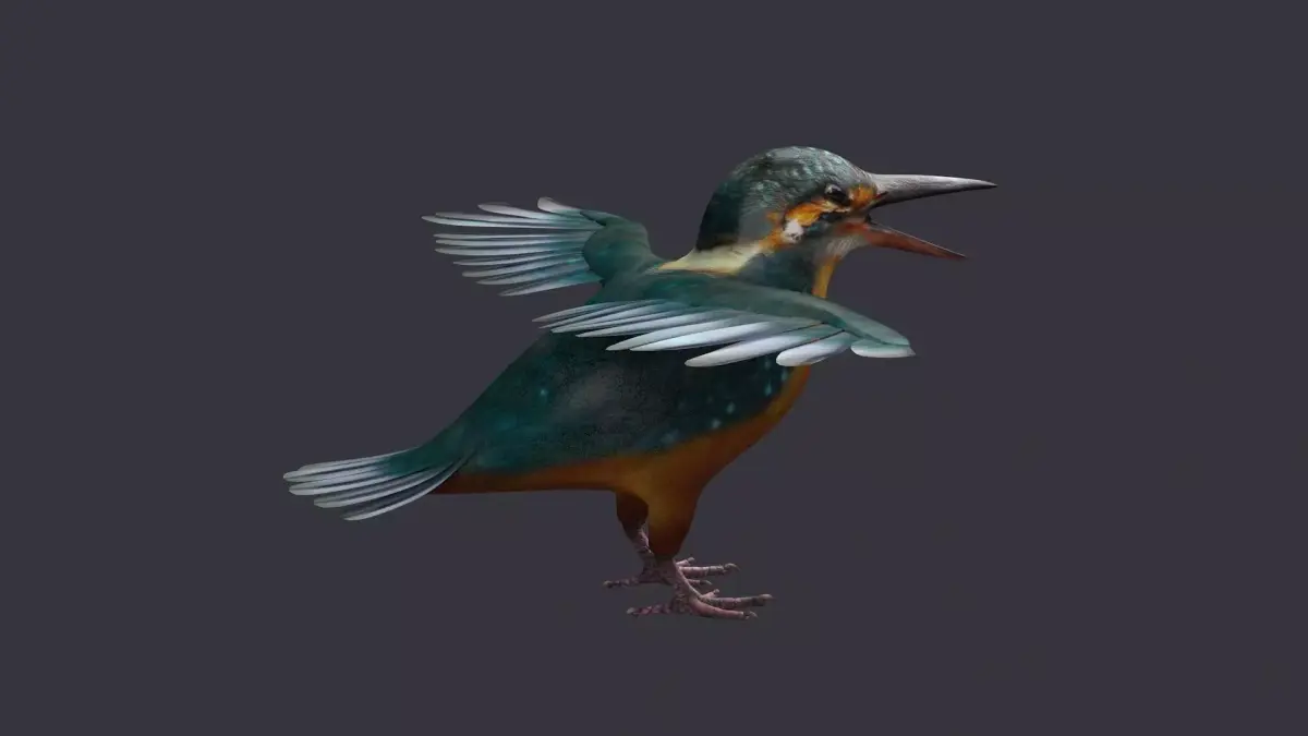 hummingbird humming bird kolibri animal tiny 3D model
