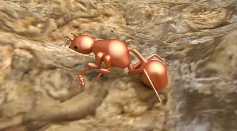 Insect - Ant 3D model