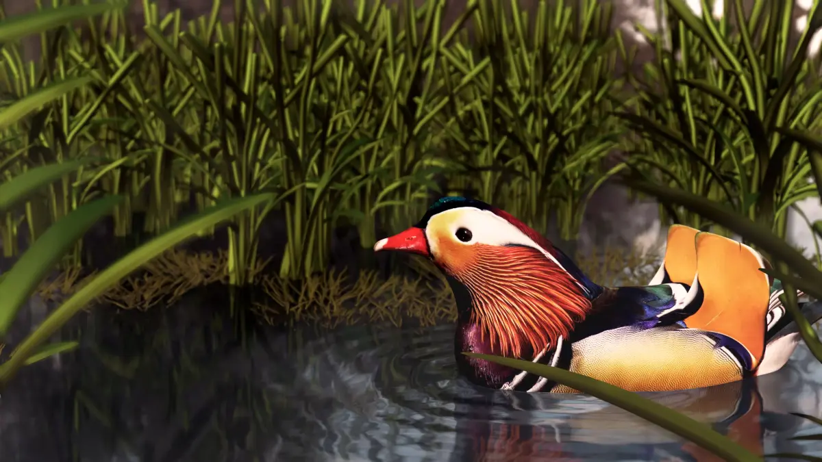 floating duck Low-poly 3D model