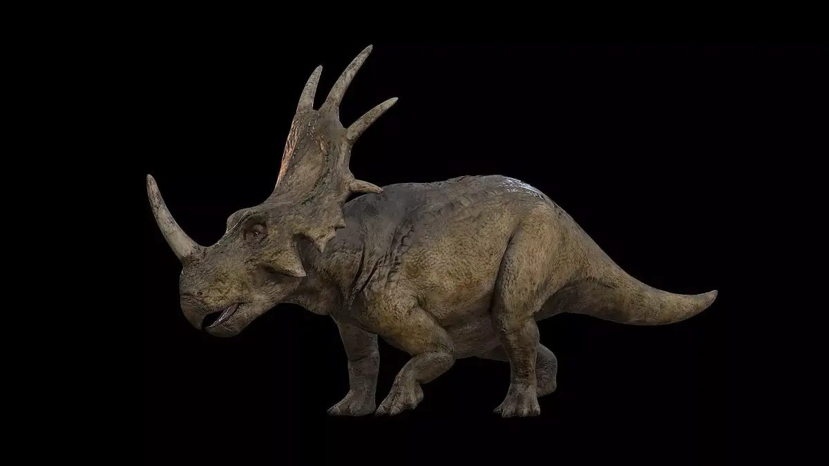 Styracosaurus - Styraco Dinosaur Low-poly 3D model