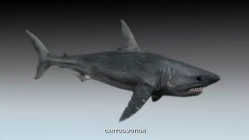 Great white shark Free low-poly 3D model