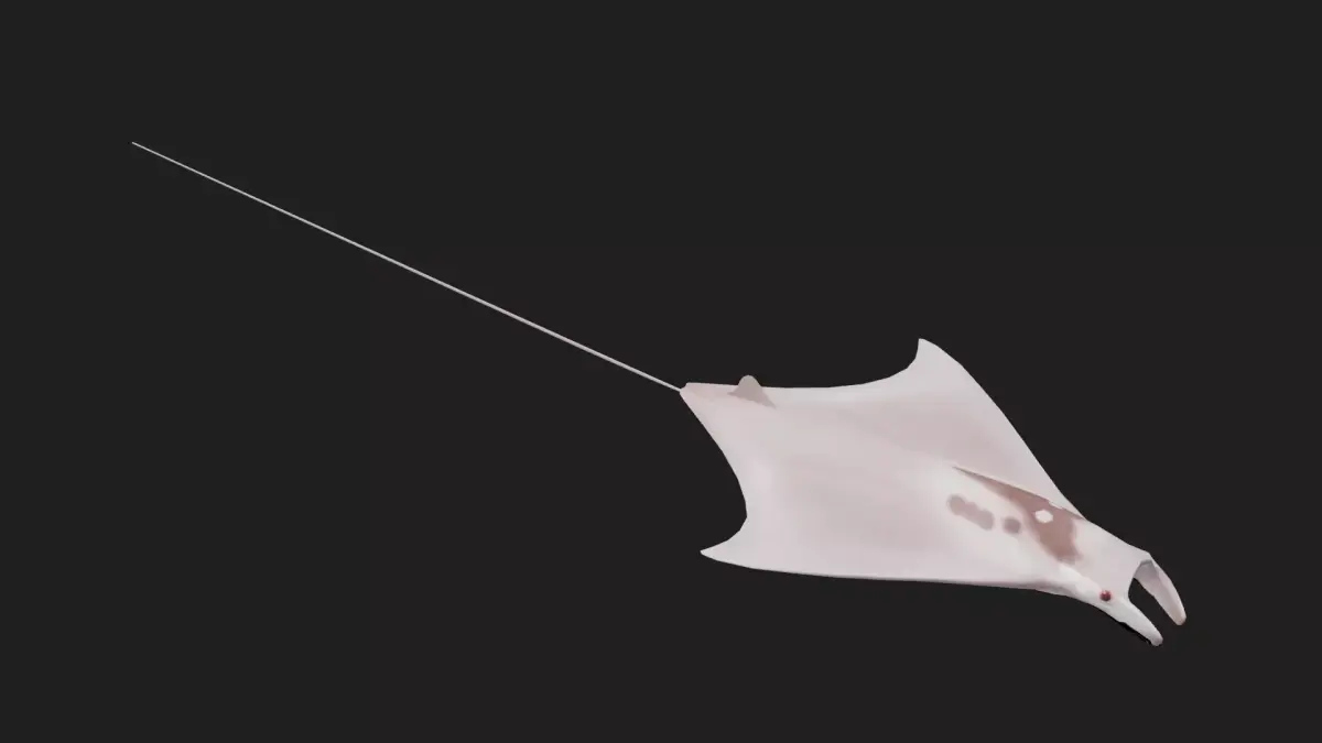 Devilfish Low-poly 3D model get