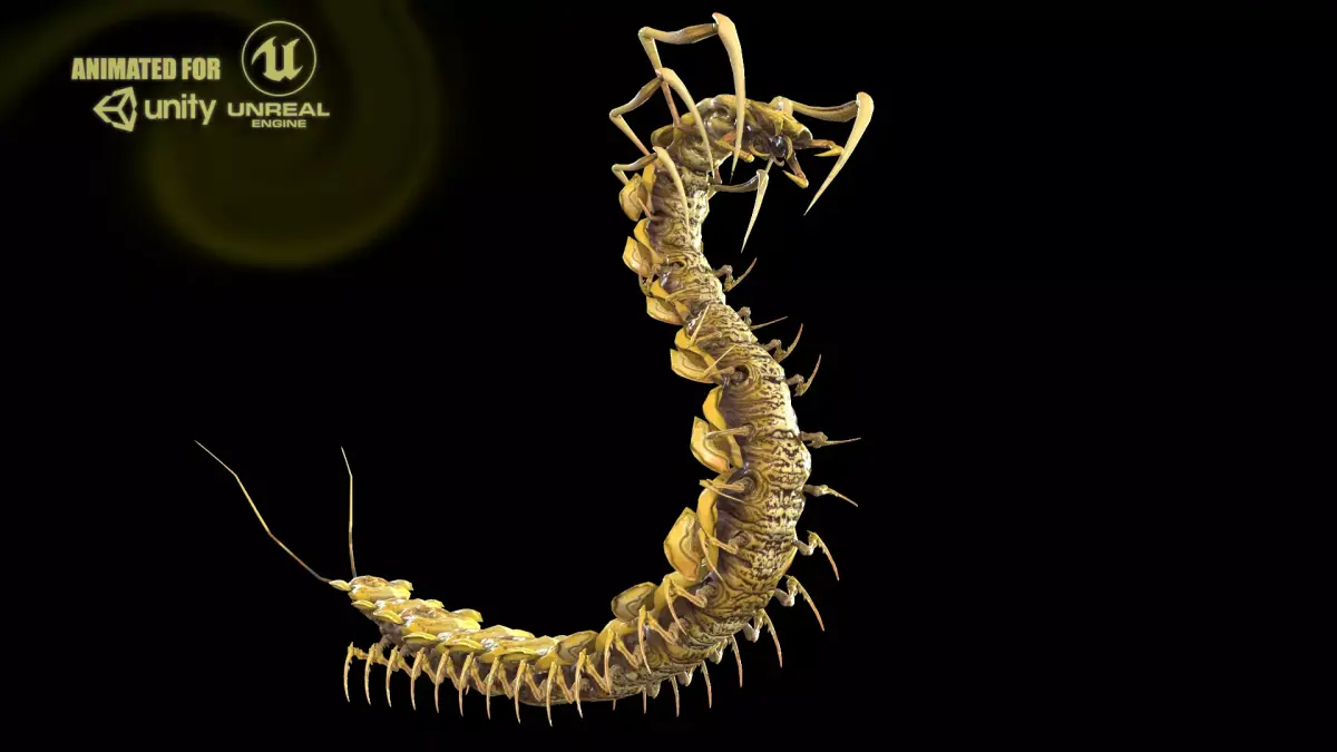 Centipede Low-poly 3D model buy