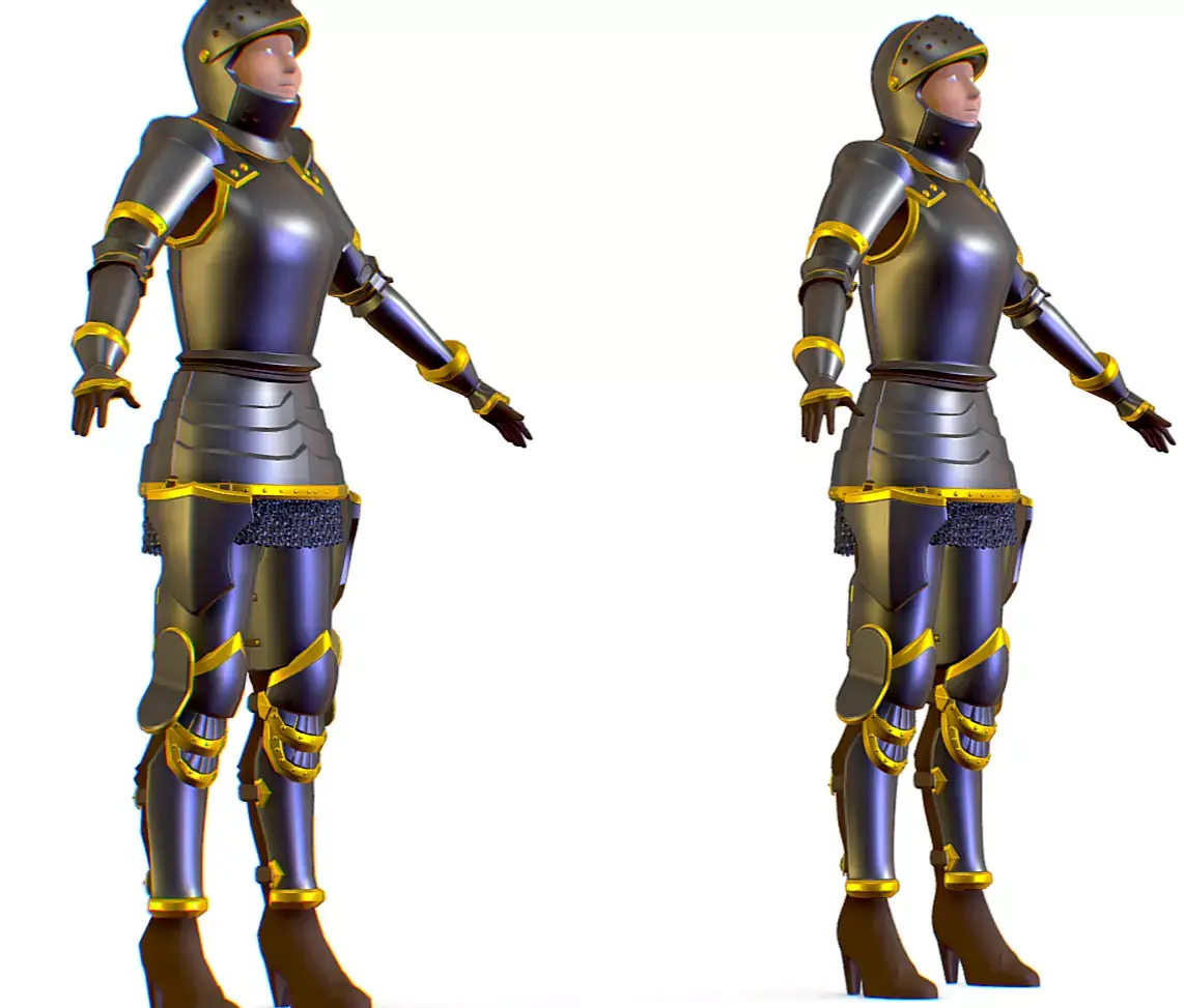 Subdivision 3D Women The Grey Knight Low-poly 3D model