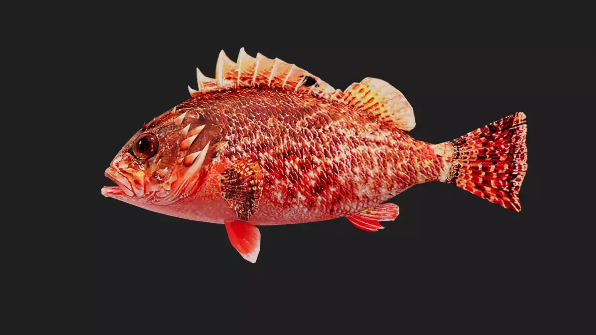 Scorpionfish Low-poly 3D model