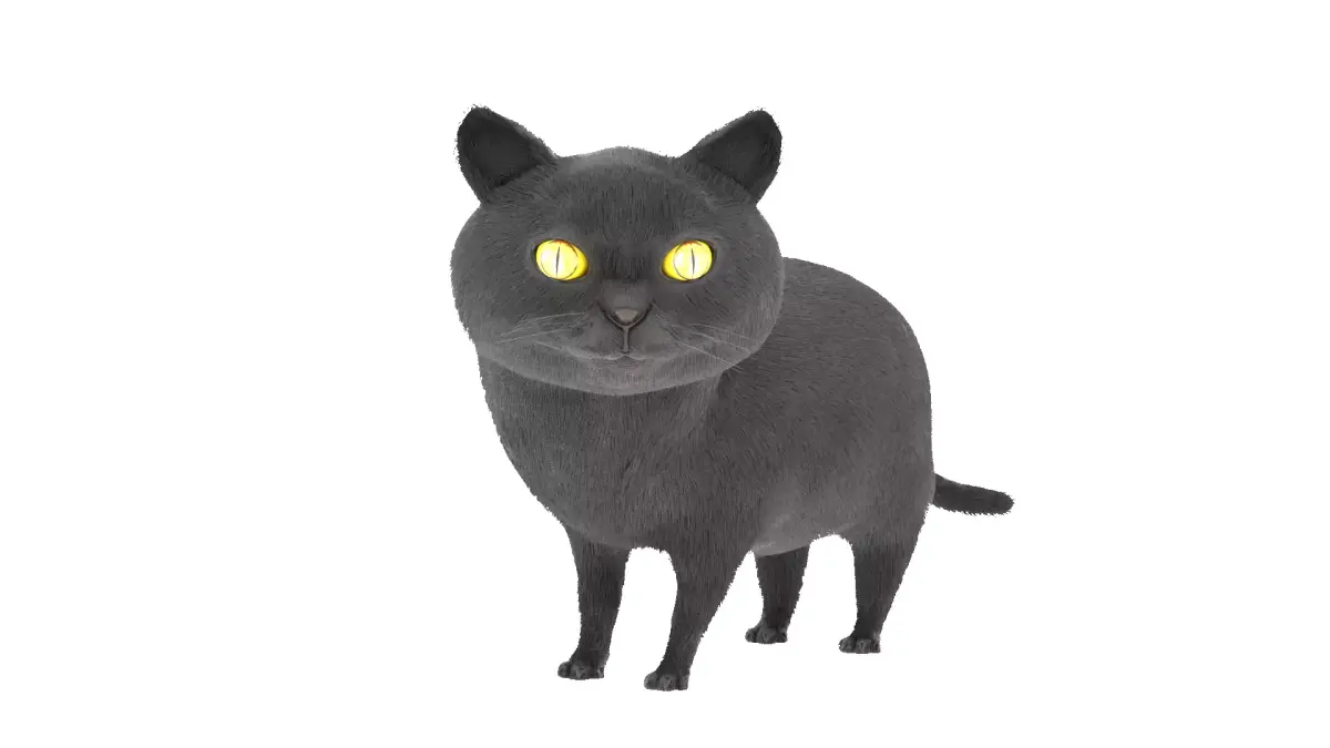 Cat 3D Model Rigged and Animated British Shorthair Low-poly 3D model