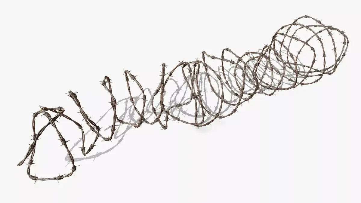 Razor Barbed Wire 3D model