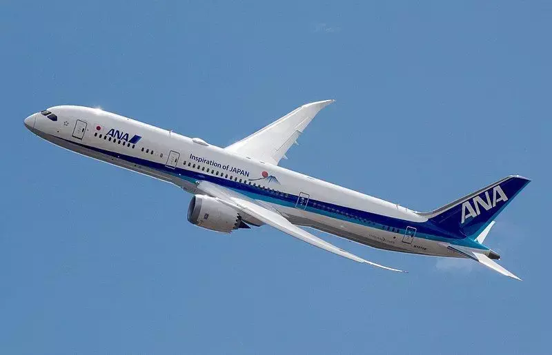 Boeing 787-800  3D model