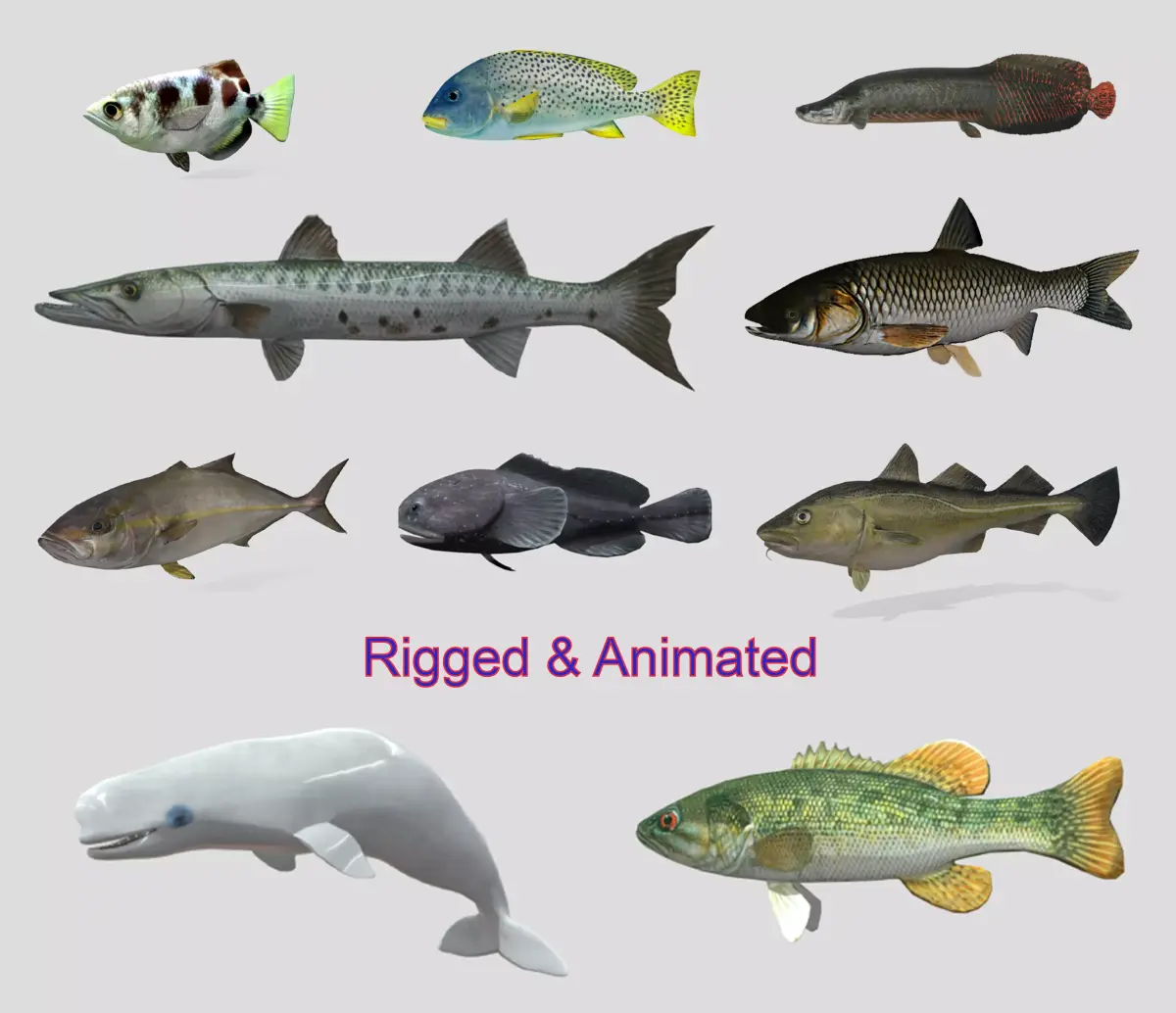 Fish Collection Animated - Game Ready Pack 1 Low-poly 3D model