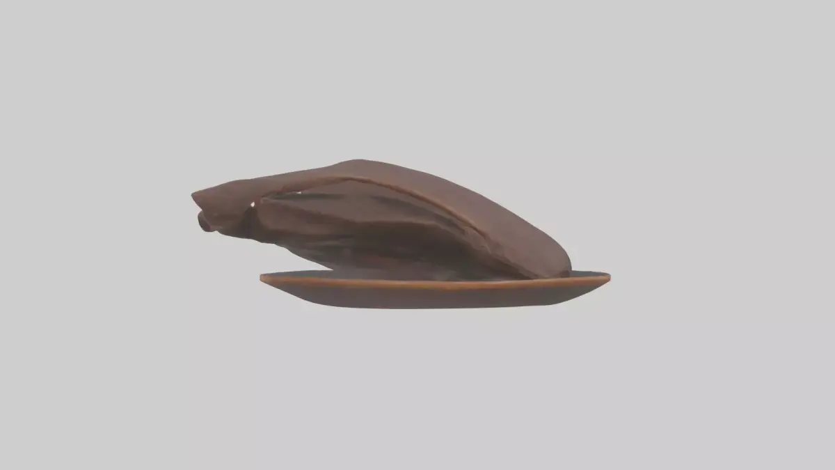Moose Liver Low-poly 3D model