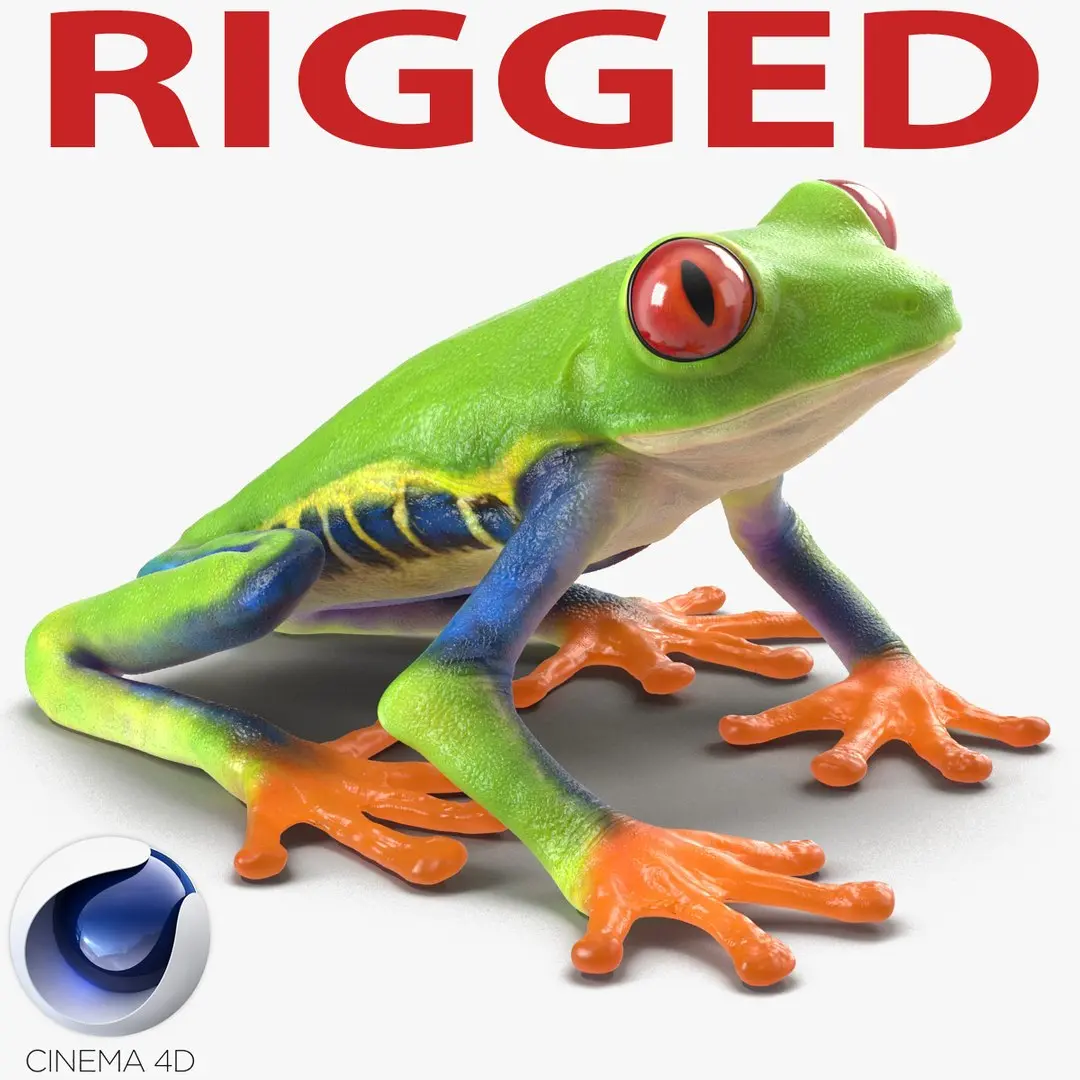 Red Eyed Tree Frog Rigged for Cinema 4D 3D model