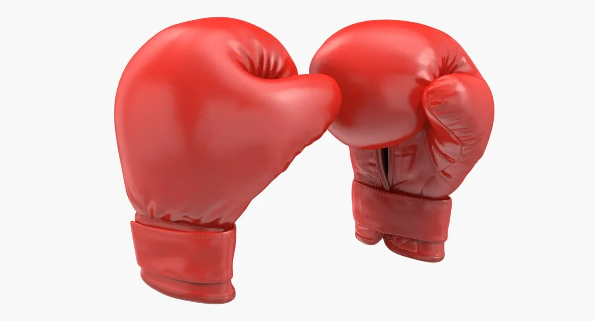 Boxing Gloves Fighting Pose 3D Model