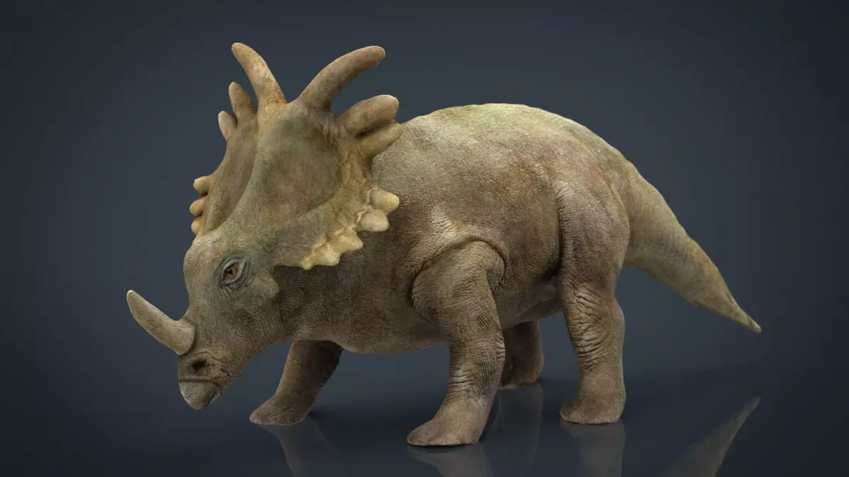 Triceratops dinosaur 3D model