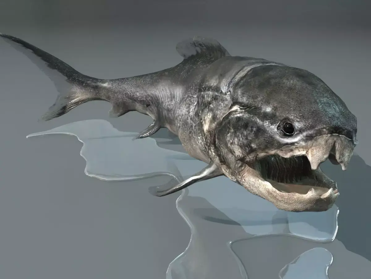 Dunkleosteus fish Low-poly 3D model purchase