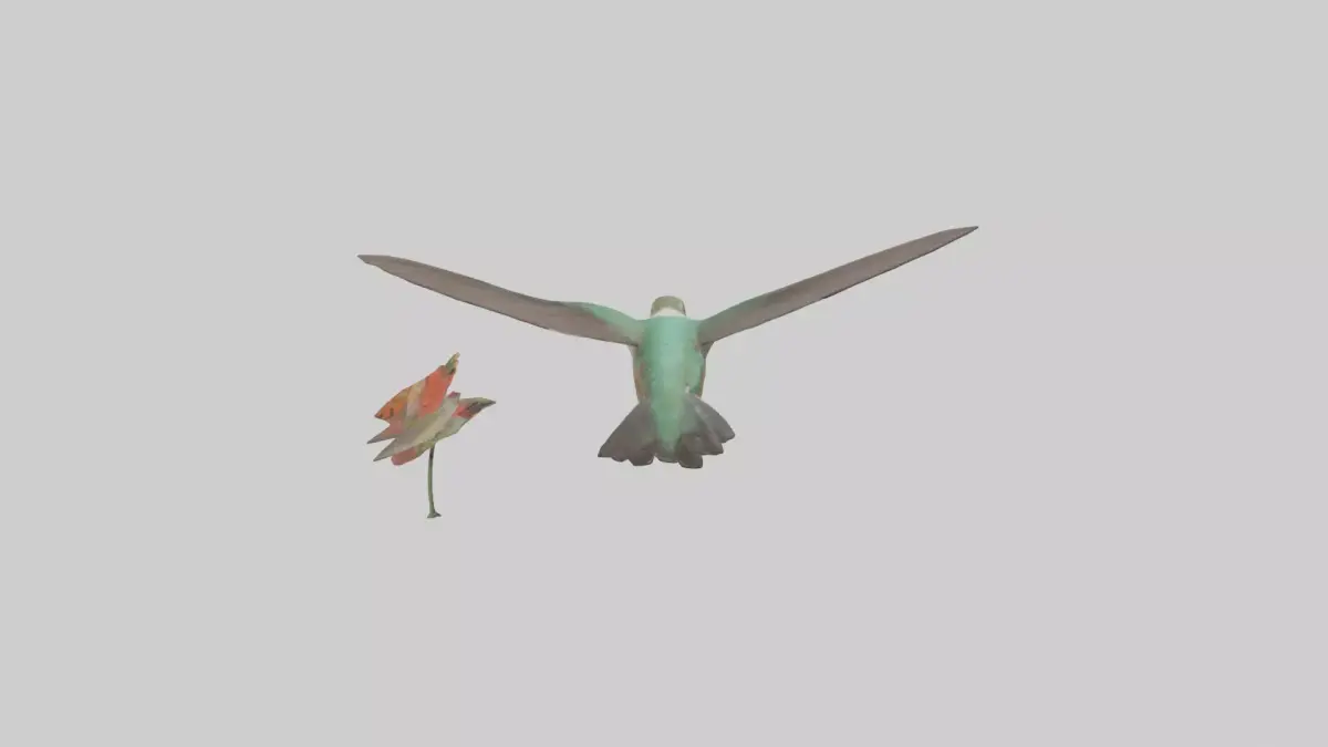 Common Hummingbird hovering model 3D model