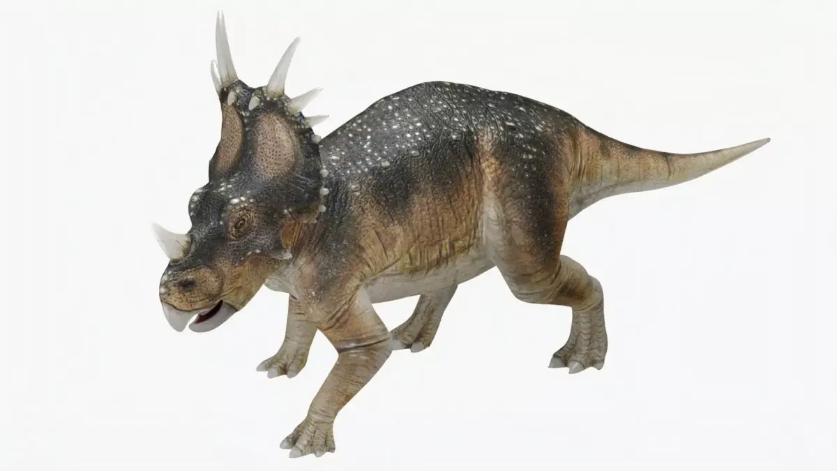 Styracosaurus No rigging 2K textures Low-poly 3D model