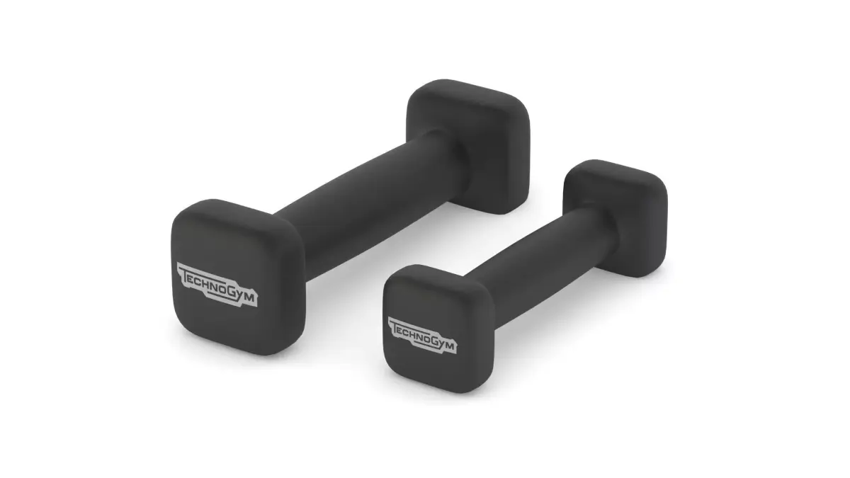 Technogym Accessories Bike Weights 3D model