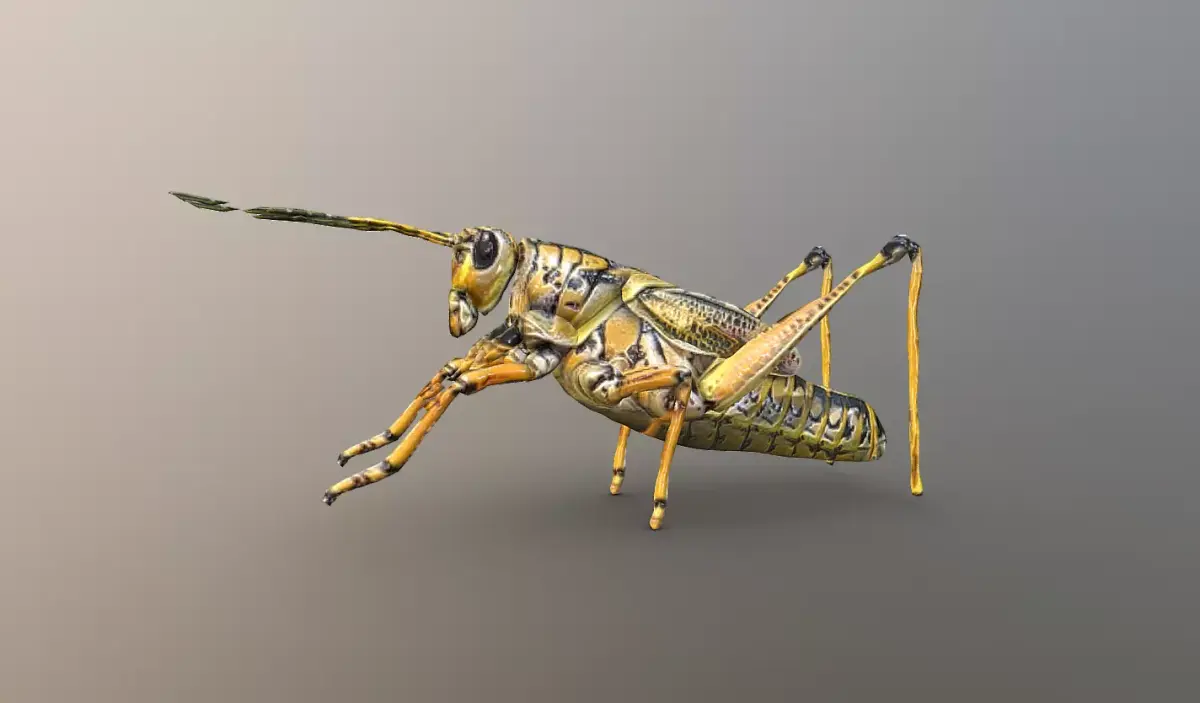 Grasshopper 3D model purchase