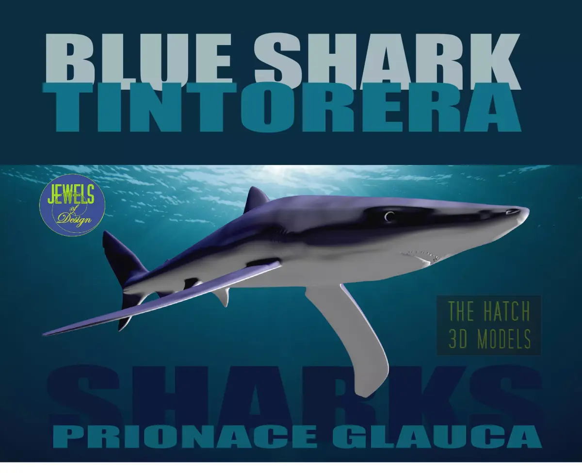 Blue Shark 3D model