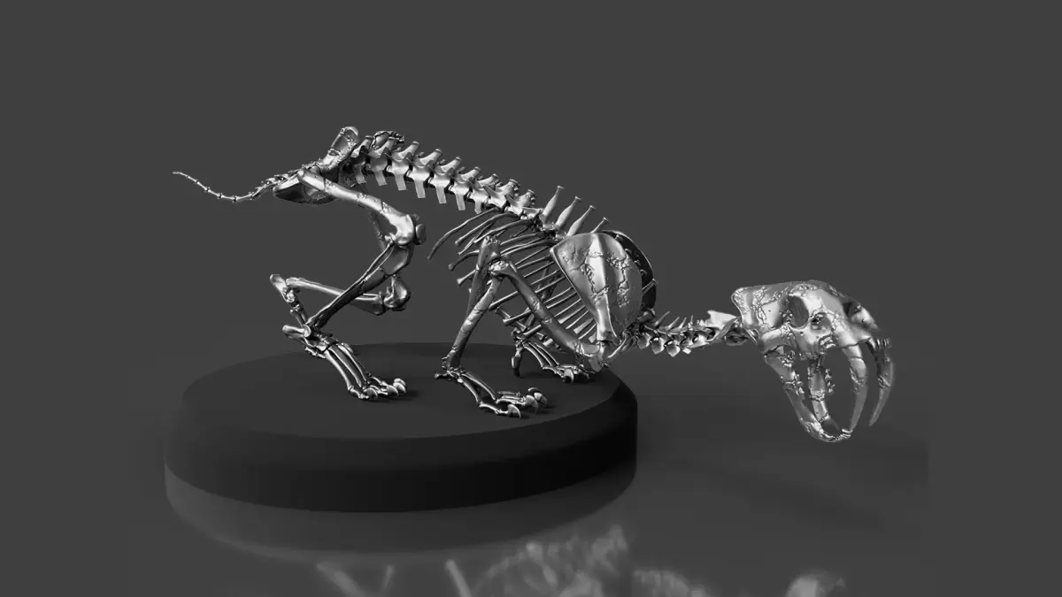 Silver Sabretooth Skeleton 3D model