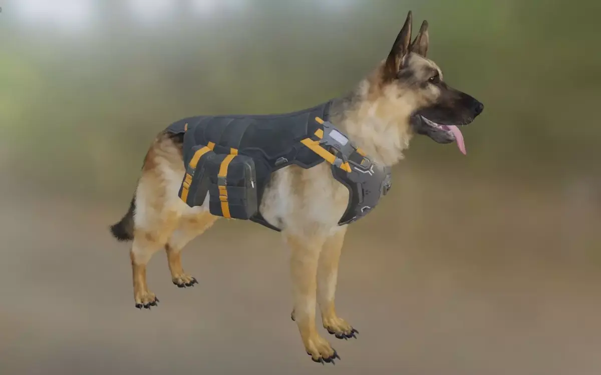Dog   jerman seaford  3D model