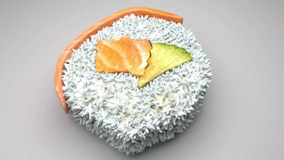 Sushi Roll With Salmon Fish 3D model