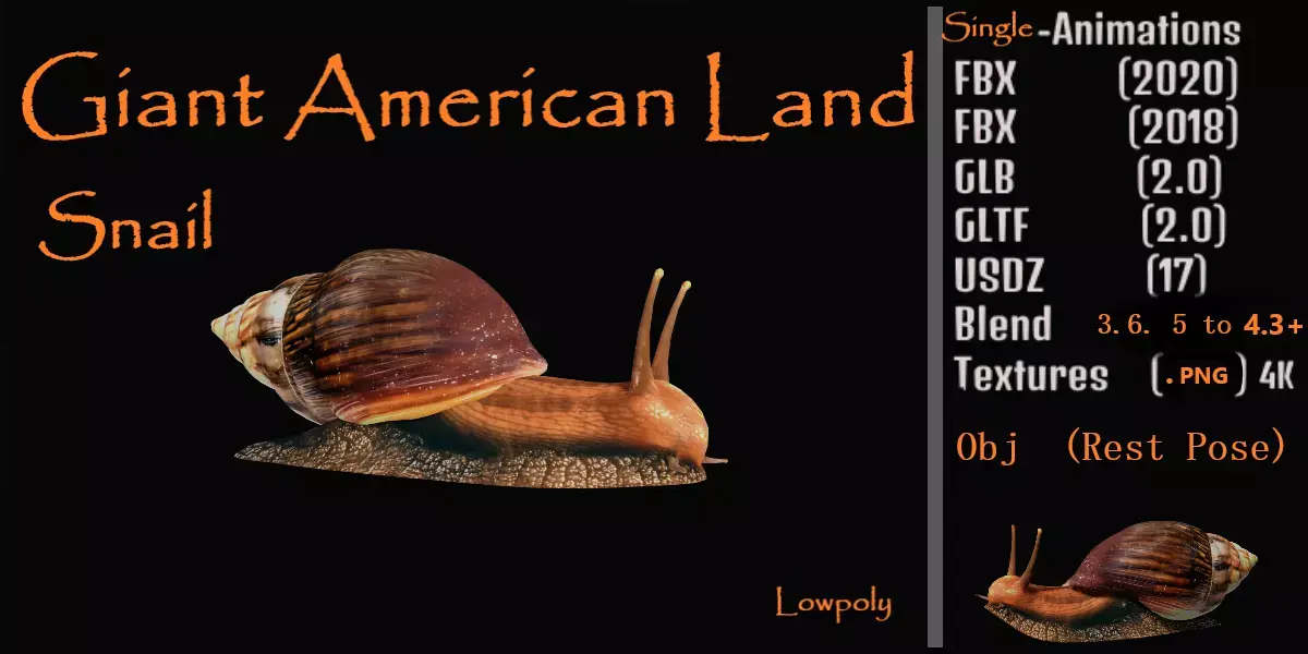 Giant African Land Snail Low-poly 3D model