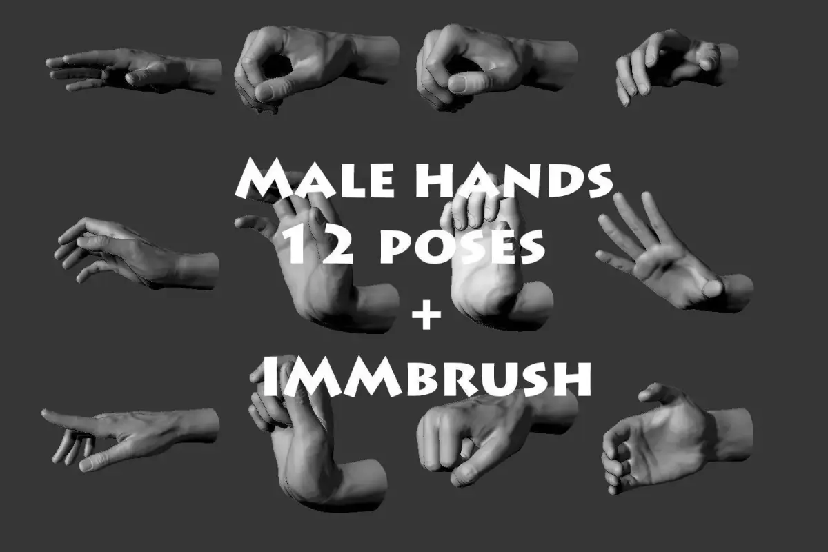 Male hands 12 poses 3D model purchase