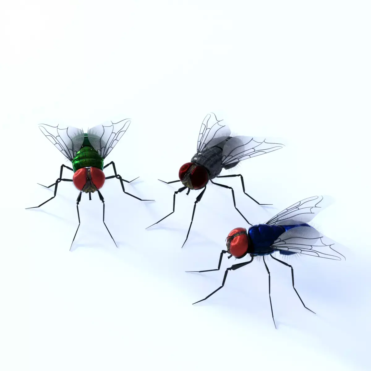 Flies for DAZ 3D model